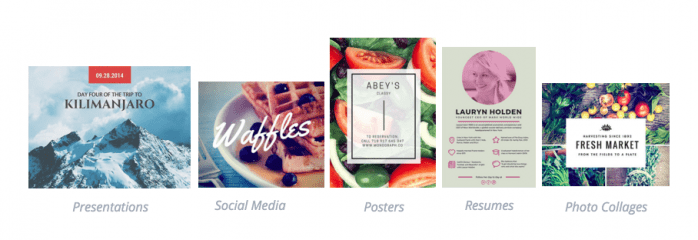 Canva article image 2