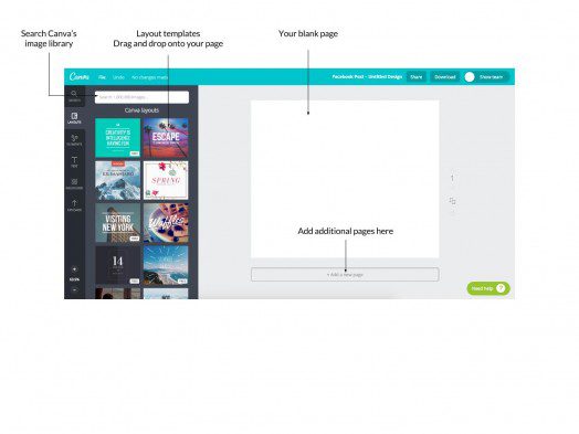 Canva article image 4