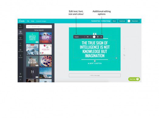 Canva article image 5