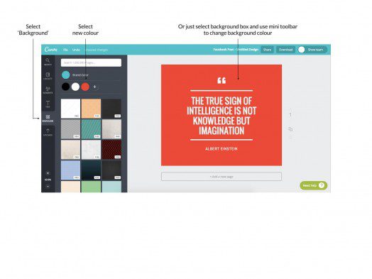Canva article image 6