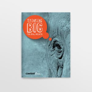 Thinking Big for Small Business